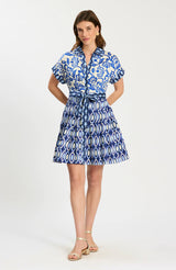 Tyler Boe Hailey Graphic Folly Dress Graphic Folly