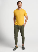 Peter Millar Aurora Performance T-Shirt Chutney