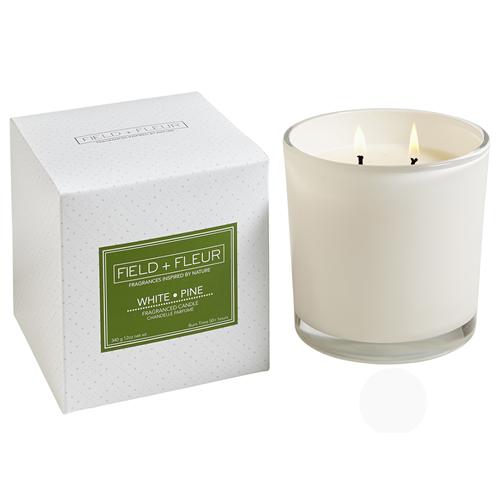 Field + Fleur White Pine 2 Wick Candle