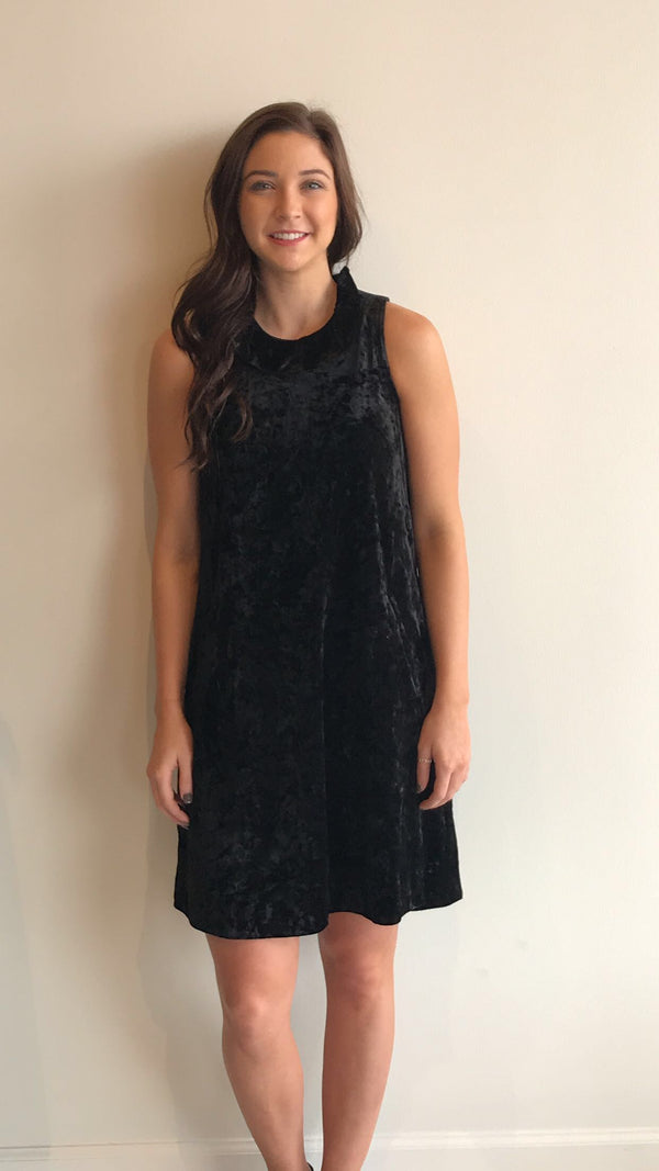 Tyler Boe Velvet Stella Dress Black